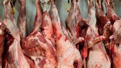 بيطري الفيوم: تحصين 18 ألفا و925  طائر بلقاح انفلونزا الطيور (صور)