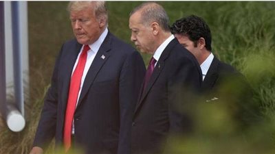 قريبًا.. أردوغان يلتقي ترامب في واشنطن