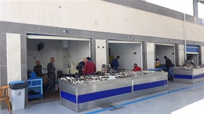 اسعار الأسماك اليوم في سوق العبور الجمعة 8-11-2019