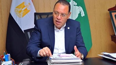 أول تعليق من محافظ الشرقية على واقعة تعذيب طفلة على يد والدها بأبوحماد