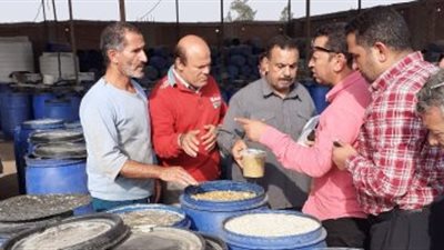 مصايف الإسكندرية: تحرير محاضر لـ9 منشأت غذائية تُدار بدون ترخيص 