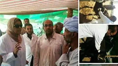 حملات مفاجئة للطب البيطري بأسوان لمتابعة التحصين ضد حمى الوادي المتصدع والحمى القلاعية