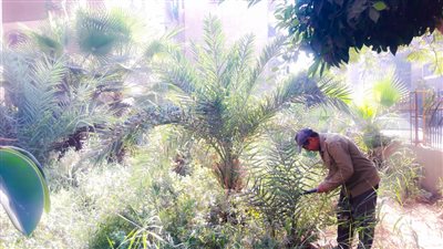 حملة مكبرة لرفع التعديات والإشغالات لعودة الانضباط بشوارع غرب المنصورة