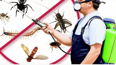 كيف تحصل شركات مكافحة الحشرات على أرقام المواطنين؟.. القومي للاتصالات يُجيب