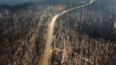 حرائق كارثية بأستراليا.. والسلطات تعلن حالة الطوارئ