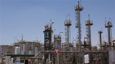  بحصة هى الأكبر عربيًا.. 