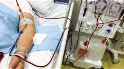 وزيرة التخطيط تعتمد مبلغ ٢٥ مليون جنيه لمركز أمراض الكلى بجامعة المنصورة