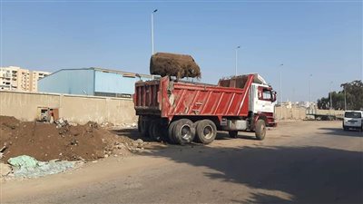 رفع 15 ألف طن مخلفات ورتش من منطقة الدريسة في بورسعيد