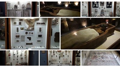 تعرف على حقيقة 