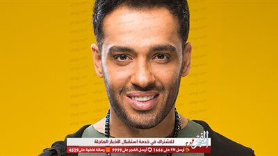 بعد مساندتها له.. رامي جمال لنانسي عجرم: 