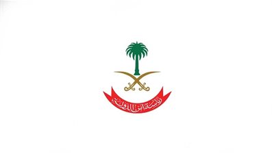 رئاسة أمن الدولة: حققنا في أخطاء فيديو 