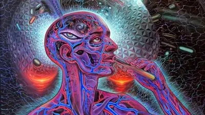 حبوب الفيل الأزرق 