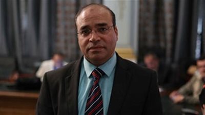  برلماني يطالب بإنشاء مطار مدنى داخل أخر عسكري بالدقهلية