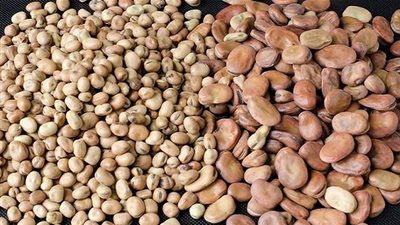الحبوب والفول.. هل يمكنهم تحسين صحة القلب؟