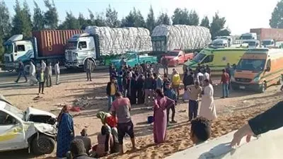 الحكم بإعدام 3 متهمين قتلوا سائق توك توك بالبحيرة