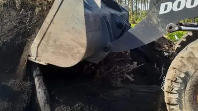 إزالة ٩ مكامير فحم مخالفة بدمياط 