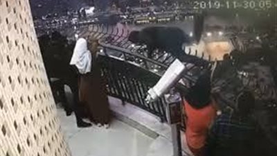 استشاري صحة نفسية تفجر مفاجآت حول واقعة انتحار طالب 