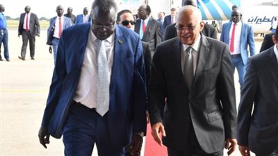 خبير إقتصادي: زيارة البرلمان المصري طاقة أمل جديدة لدولة جنوب السودان 
