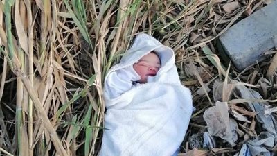 العثور على طفل حديث الولادة وسط الزراعات بالغربية 