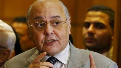 فيديو.. موسى مصطفى موسى يكشف أهداف 