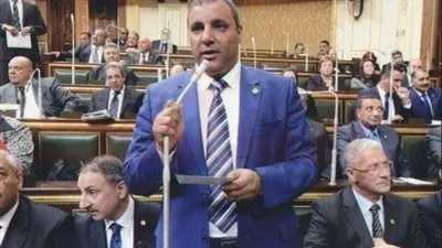 برلماني: لا يوجد موانع شرعية أو دستورية تمنع انتقال حضانة الطفل للأب الأرمل مباشرة