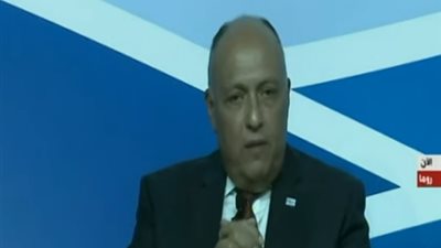 سامح شكري: لا يوجد قمع في مصر وكل ما يحدث يكون ضمن الإجراءات القانونية