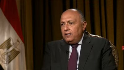 وزير الخارجية: أصبح لدينا سياسة ثابتة ومستقرة تجاه أفريقيا منذ تولي السيسي