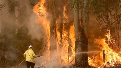 السفارة السعودية بأستراليا للمواطنين: التزموا بتعليمات السلطات المحلية