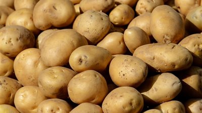 شعبة الخضار والفاكهة تزف خبر سار بشأن أسعار البطاطس