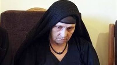 جنايات المنيا تؤجل قضية 