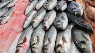 اسعار الاسماك اليوم الاحد 15-12-2019.. 