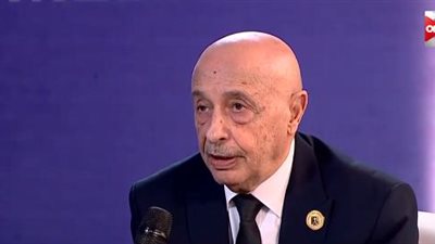 البرلمان الليبي: الجيش الوطني عثر على ترسانة أسلحة تركية تكفي لتجهيز عدة جيوش