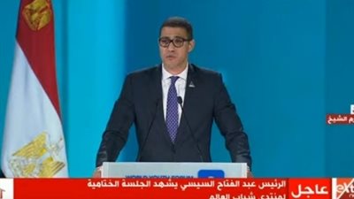 أستاذ علاقات دولية يطالب بإنشاء مجلس للشباب 