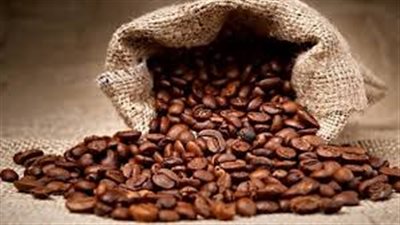 الغرفة التجارية : فاتورة استيراد مصر من البرازيل  بلغت 1.7 مليار دولار