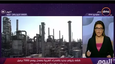 بمعدل 7000 برميل زيت خام يوميًا.. تعرف على تفاصيل الكشف البترولي الجديد