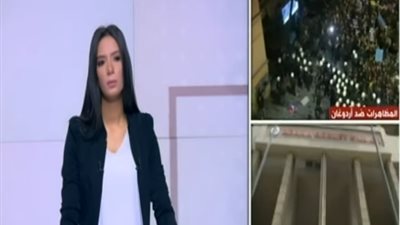 متخصص بالشأن التركي: أردوغان يريد استبدال جيش بلاده