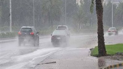 عاجل | الأرصاد الجوية تحذر من تقلبات الطقس خلال الأسبوع الجاري (تفاصيل)