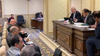 رئيس اقتصادية قناة السويس: الانتهاء من المشروعات الكبرى 2025