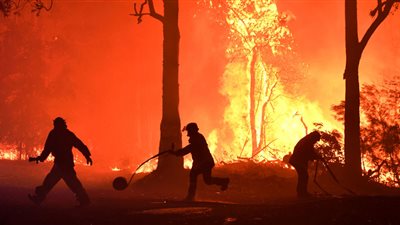 أستراليون يطالبون رئيس الوزراء بالاستقالة بسبب الحرائق