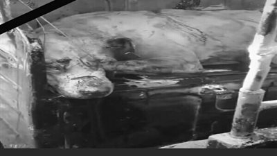 ننشر اعترافات متهمي تعذيب كلب المطرية