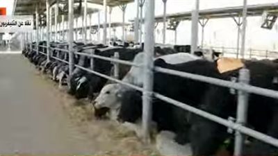 مجمع الإنتاج الحيواني بالفيوم يضم مصنعًا لإعادة تدوير المخلفات