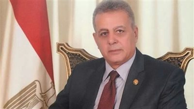 برلماني: تطبيق قانون الكيانات الإرهابية يتطلب تضافر جهود الشعب مع مؤسسات الدولة 