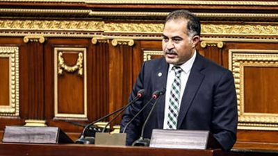 وكيل مجلس النواب: السيسي أكثر رئيس عزز مكتسبات أصحاب الهمم ودمجهم في المجتمع