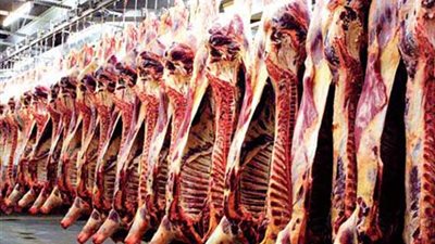 محافظ الفيوم: مجزر مجمع الإنتاج الحيواني الأول من نوعه في إفريقيا