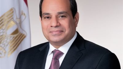السيسي: بنجري بأقصى سرعة لحل مشكلات 50 عاما (فيديو)