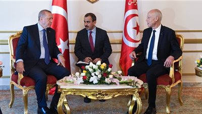 الأحزاب التونسية تحذر الرئيس من الاصطفاف وراء أردوغان