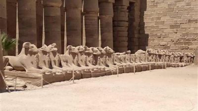 آثار الكرنك: لن يتم نقل تماثيل من طريق الكباش أو من أمام المعبد 