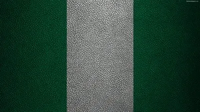 متشددون يقتلون 10 أشخاص في هجوم يستهدف عمال الإغاثة والمسيحيين بنيجريا