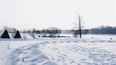 موجة برد في بنجلاديش تقتل 50 شخصًا 