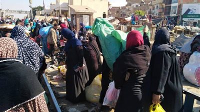 تحرير 17 محضر إشغال طريق وإزالة 25 إعلان بشبين القناطر (صور) 